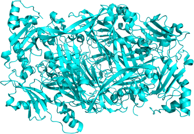 [Bild: Diaminoxidase]